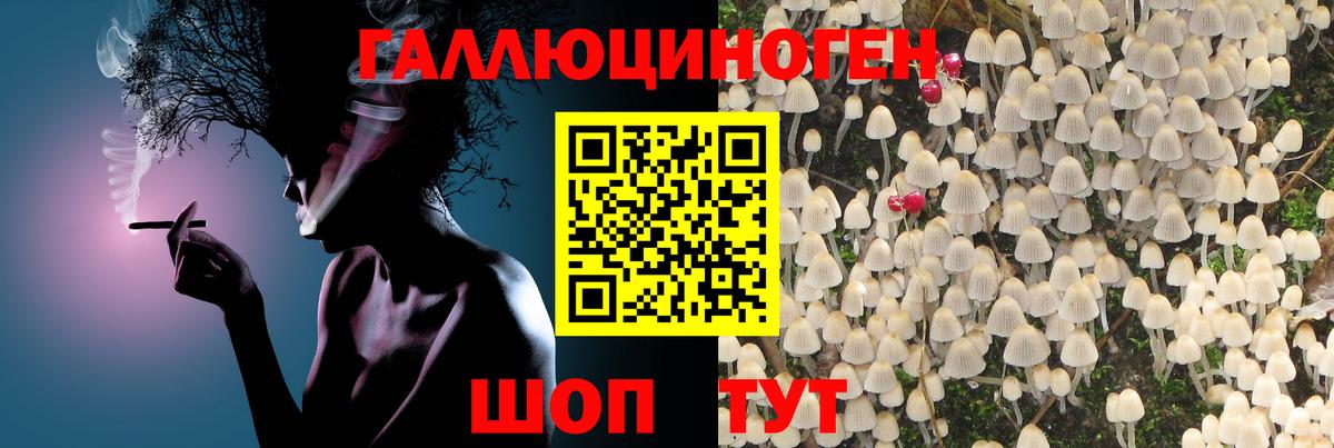 Благовещенск  Галлюциногенные грибы Cubensis  Вход с VPN 